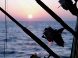 What Should I Expect on my First Offshore Fishing Trip?